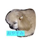 塁ちゃん（個別スタンプ：2）