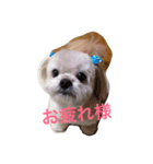 塁ちゃん（個別スタンプ：3）