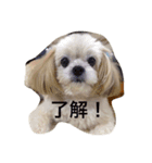 塁ちゃん（個別スタンプ：4）