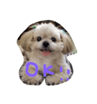 塁ちゃん（個別スタンプ：5）