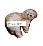 塁ちゃん（個別スタンプ：6）