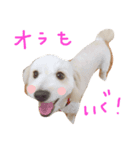 まるびより（個別スタンプ：1）