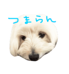 まるびより（個別スタンプ：4）