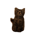 我が家の猫ちゃん達です（個別スタンプ：2）
