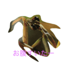 hang in there（個別スタンプ：1）