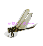 hang in there（個別スタンプ：4）