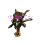 hang in there（個別スタンプ：5）