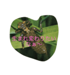 hang in there（個別スタンプ：7）