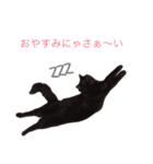 チョコちゃんの日常会話2（個別スタンプ：6）