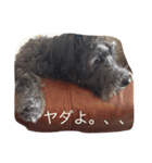 そらのゆる〜い日々（個別スタンプ：16）