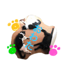 田川ふぁむ（個別スタンプ：33）