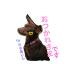 田川ふぁむ（個別スタンプ：34）