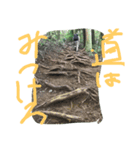 mountain  a  go（個別スタンプ：4）