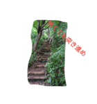 mountain  a  go（個別スタンプ：8）