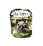 Mr.Toranosuke（個別スタンプ：3）
