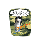 Mr.Toranosuke（個別スタンプ：5）
