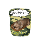 Mr.Toranosuke（個別スタンプ：6）