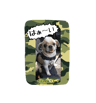 Mr.Toranosuke（個別スタンプ：14）