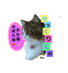 My pet u-tan 2（個別スタンプ：7）