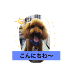 ぷーファミリー集合！（個別スタンプ：1）
