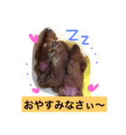 ぷーファミリー集合！（個別スタンプ：2）