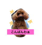 ぷーファミリー集合！（個別スタンプ：3）