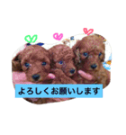 ぷーファミリー集合！（個別スタンプ：4）
