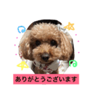 ぷーファミリー集合！（個別スタンプ：5）
