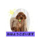 ぷーファミリー集合！（個別スタンプ：6）