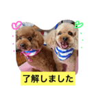 ぷーファミリー集合！（個別スタンプ：7）