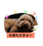 ぷーファミリー集合！（個別スタンプ：9）