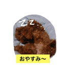 ぷーファミリー集合！（個別スタンプ：11）