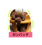 ぷーファミリー集合！（個別スタンプ：13）