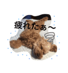 ぷーファミリー集合！（個別スタンプ：15）
