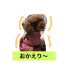 ぷーファミリー集合！（個別スタンプ：16）