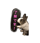 Landといっしょ。（個別スタンプ：2）