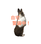 Landといっしょ。（個別スタンプ：4）