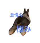 Landといっしょ。（個別スタンプ：5）