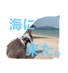 Landといっしょ。（個別スタンプ：6）
