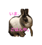 Landといっしょ。（個別スタンプ：7）