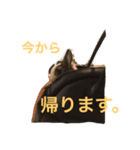 Landといっしょ。（個別スタンプ：8）