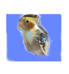 オカメインコのラッキーちゃん（個別スタンプ：2）