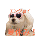 3マル1にゃん【くりむさん編】（個別スタンプ：5）