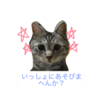 うちのぽんたくん（個別スタンプ：1）