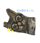 うちのぽんたくん（個別スタンプ：7）