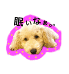 elua.（個別スタンプ：1）