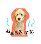 elua.（個別スタンプ：6）
