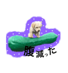 elua.（個別スタンプ：10）