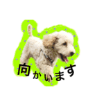 elua.（個別スタンプ：11）