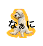 elua.（個別スタンプ：14）